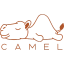 Camel icon