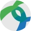 Cisco Anyconnect VPN icon