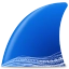 Wireshark ARM PC icon